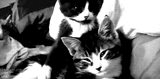 cute11