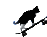 1728894701064308