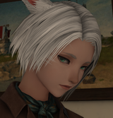 ffxiv_dx11_ZmOStCAyJn