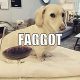 1723585119174418