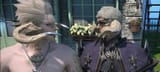 ffxiv_dx11_2025-06-11_18-17-30