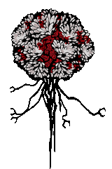 1740176654519281
