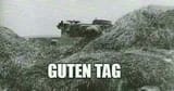gutentagtiger