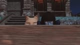 ffxiv_dx11_2025-05-06_22-13-28