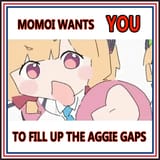 Aggie gaps