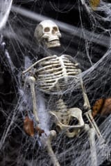 skeleton-sitting-in-spider-web
