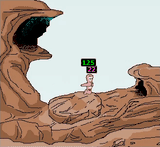 worm dose