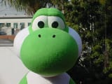 yo
