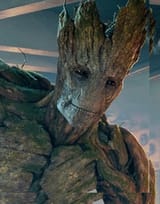 Groot