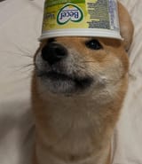 becer dog 2