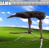 1743641248199773