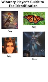 wiz fairy