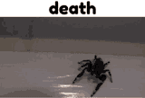 sp