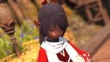 ffxiv_dx11 2025-06-10 00-28-29