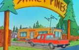 shiney pines