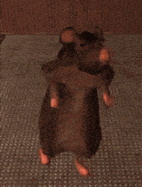 1747688444943097