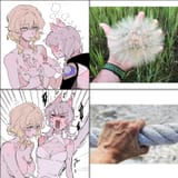 Soft and not soft