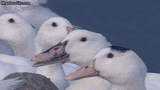 0419ce7dfa2f516d807e47ef7b9d847baa43eb8c55c5563ae1defcc27b4967fa