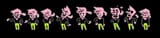 pinku personality