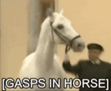 horse
