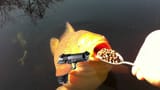 hes got a gun 2