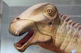 Nigersaurus_model_aus[1]