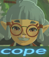 cope (2)