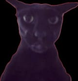 20250527_214456