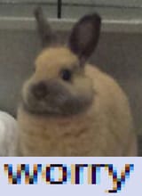 1733899536148890