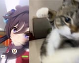shit