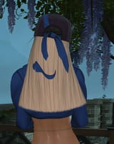 ffxiv_dx11_2025_06_12_19_14