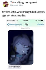 shibespices (ikigaikuu) - DYrkahiUMAEv_-J.jpg orig
