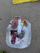 punished spamtotem