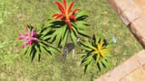 2025-06-07 17-32-48 ffxiv_dx11