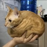 69g5ezsj2gge1