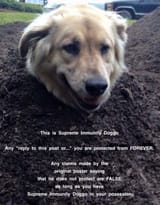 Immunity Doggo Supreme