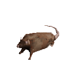 1742266234861