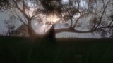 ezgif-8fae2802567a47