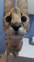 quercuswah[sound=files.catbox.moe%2F4s9sid.mp3]_thumb.jpg