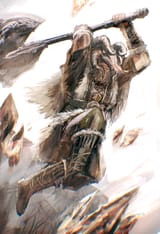 raider