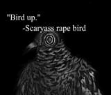 Gruw0GYW0AAdhDY