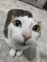 1726629831771298
