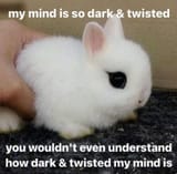 1718668765838617