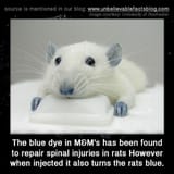 GtCXyMrbgAAG6sA