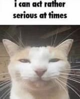 1747783379048244