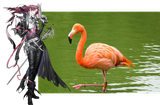 birb
