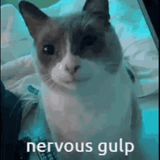 1732005690474026