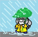 rain