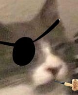 eyepatchcat