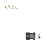 aesc fake name